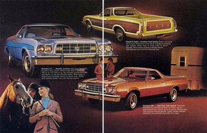 1973 Ford Ranchero-02-03.jpg